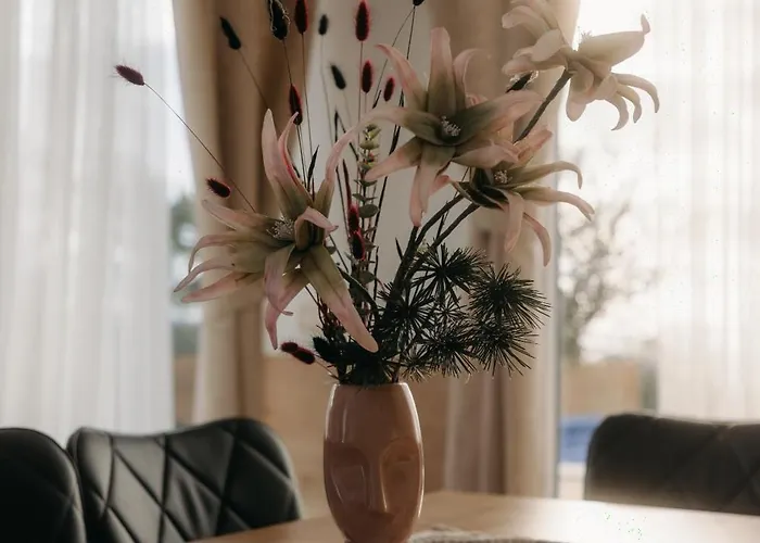 Вилла Isabella Опатия